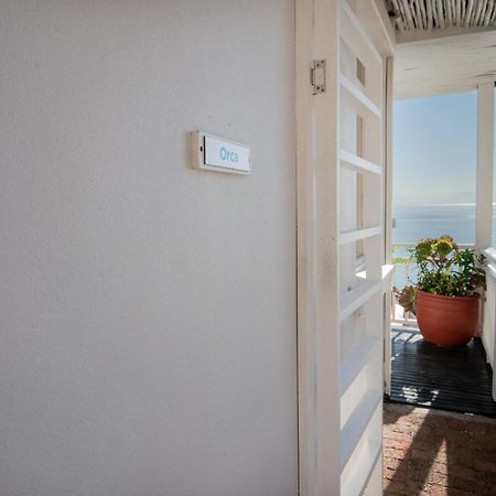 A Whale Of A Time Apartment Vishoek Exterior foto