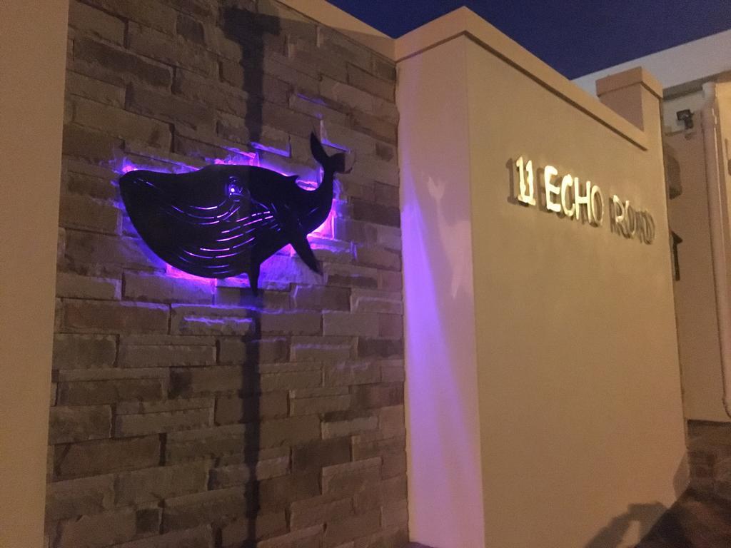 A Whale Of A Time Apartment Vishoek Exterior foto