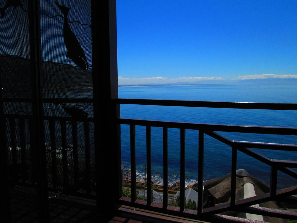 A Whale Of A Time Apartment Vishoek Exterior foto